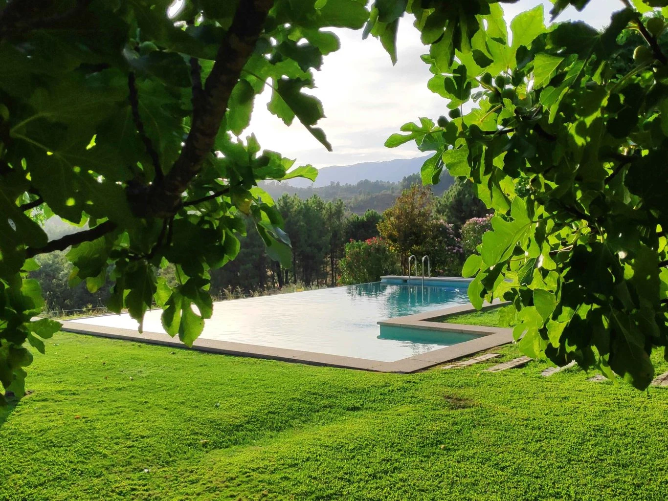 720-jhffhtindex-17750433569685.jpeg